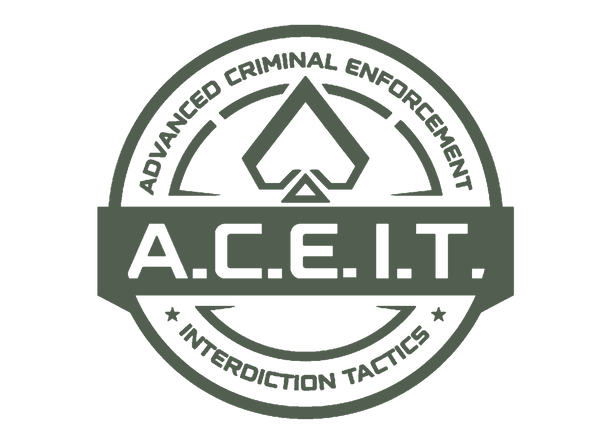 ACE Interdiction Tactics, LLC