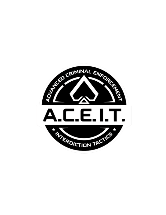 ACE IT Sticker